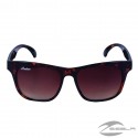 Phoenix Sunglasses