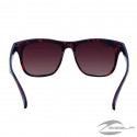Phoenix Sunglasses