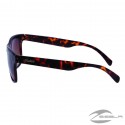 Phoenix Sunglasses