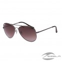 Aviator Sunglasses with Brown Lens, Silver